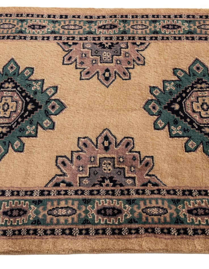 Detail image of  2' 7 x 4' 4  Hand Knotted Bokhara Rug