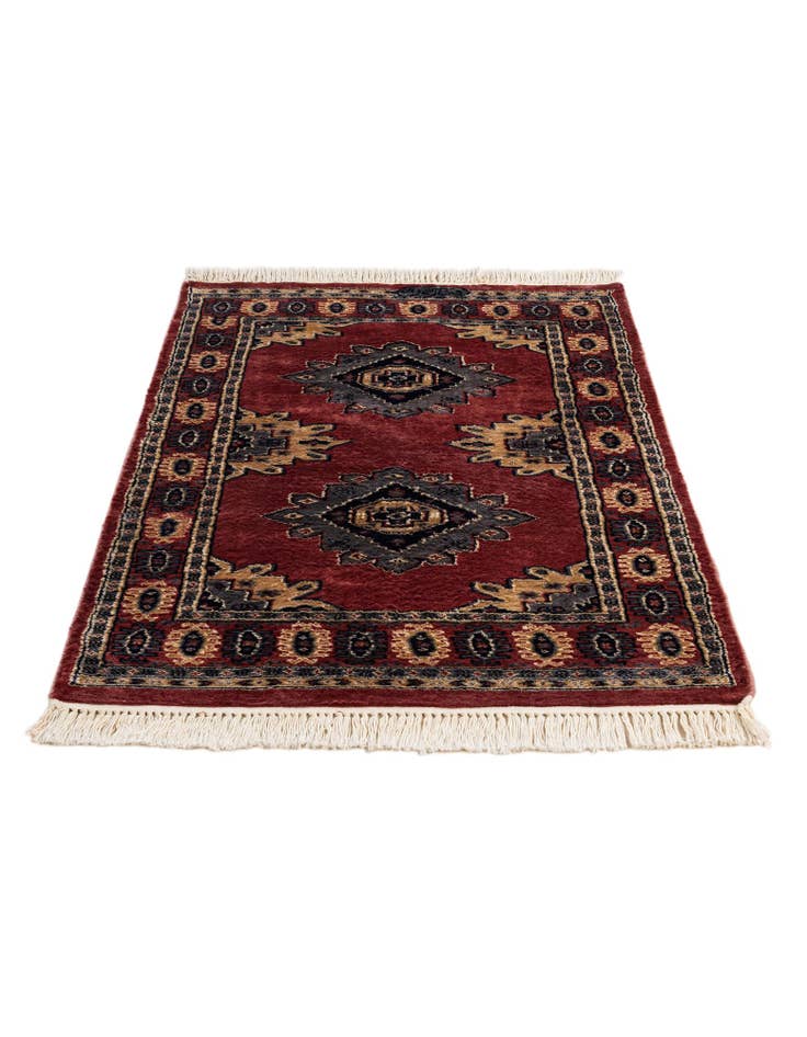 Detail image of  2' 7 x 4' 3  Hand Knotted Bokhara Rug