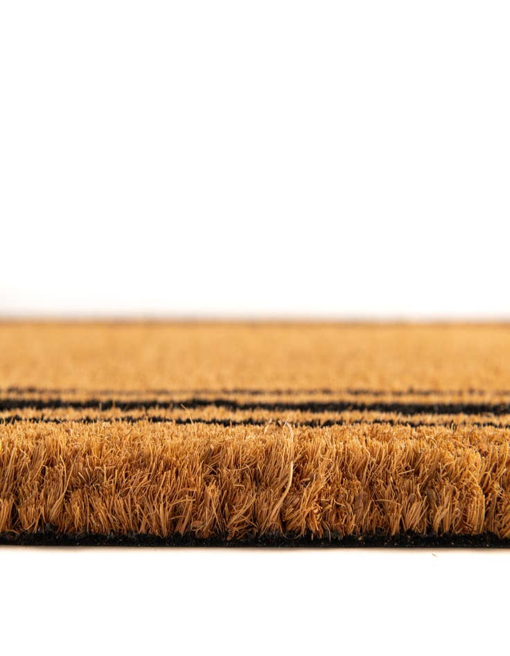 Detail image of  1' 6 x 2' 6 Border Doormat