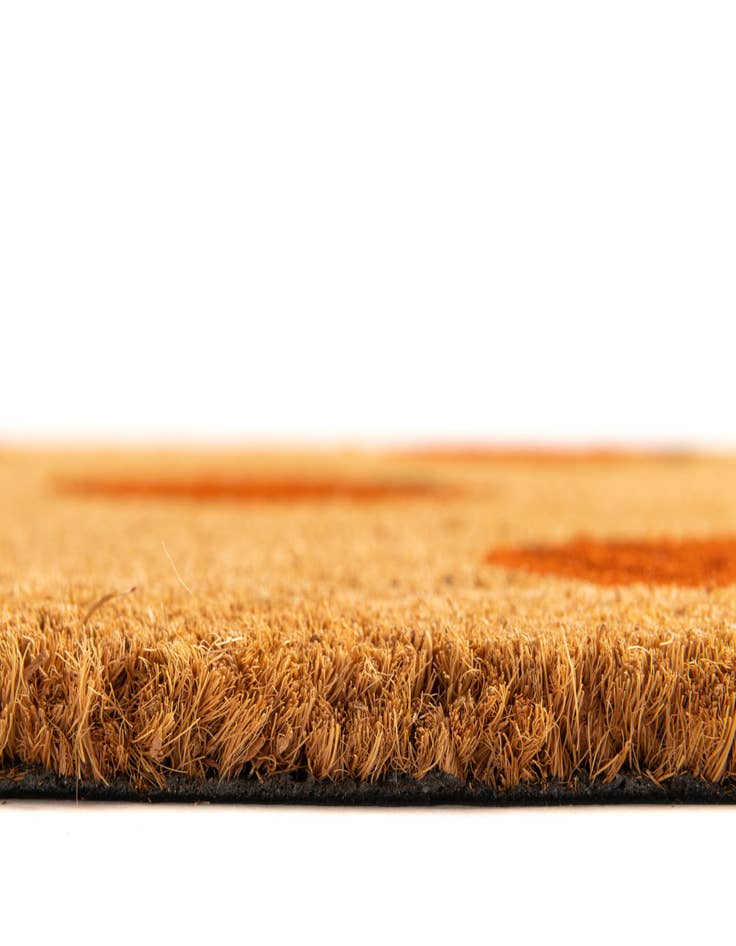 Detail image of  1' 6 x 2' 6 Pumpkins Doormat