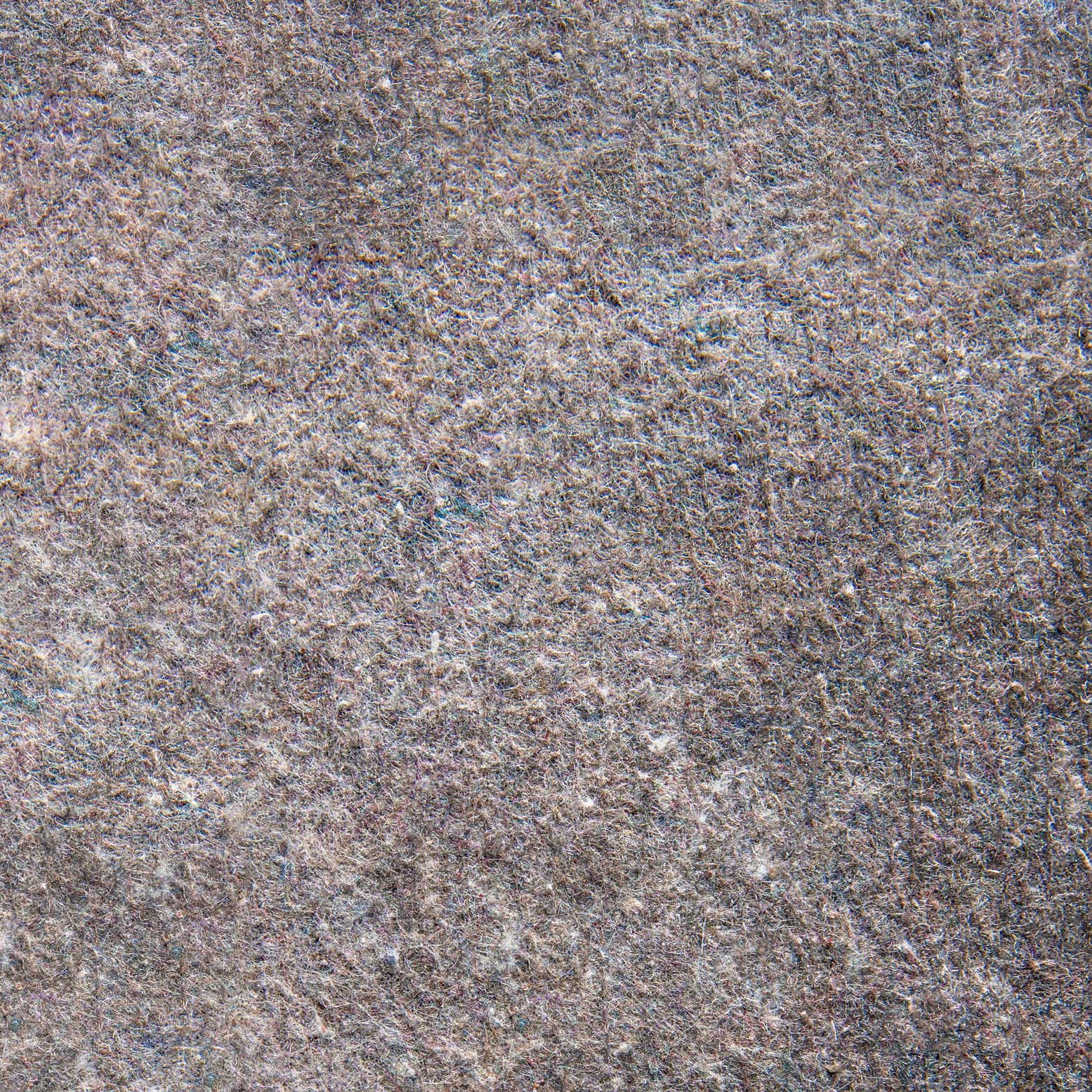 Close-up of a medium pile, textured gray rug with subtle flecks of various colors, suitable for an indoor setting.