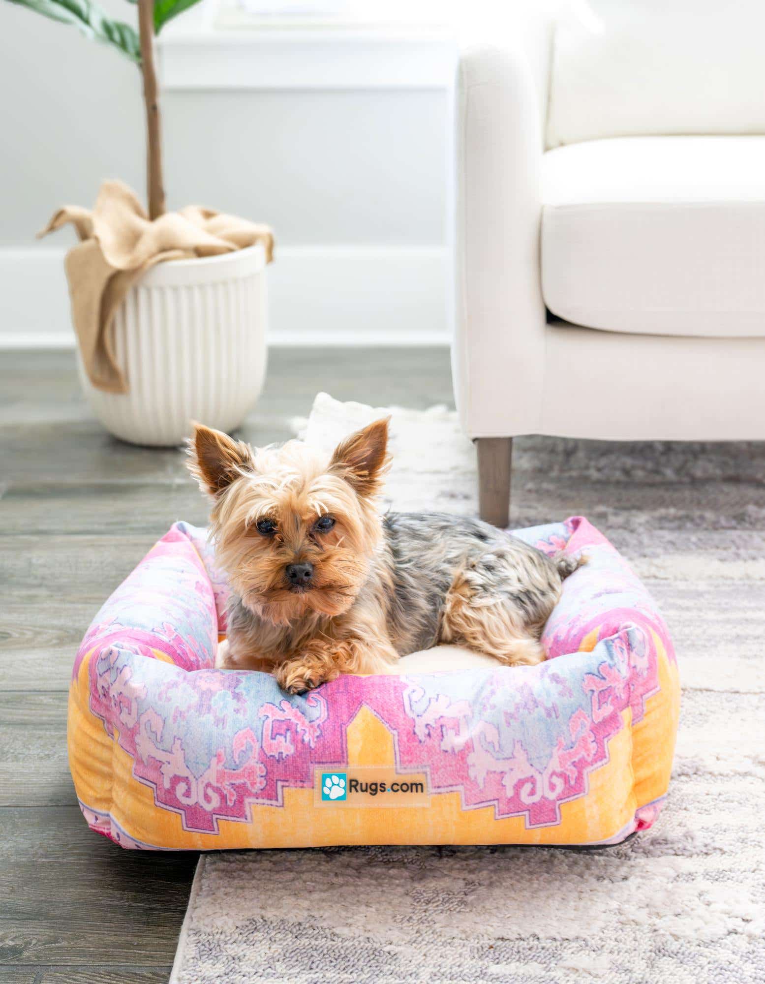A small Yorkshire Terrier dog rests comfortably in a multi-colored rectangular pet bed with a vibrant pink, orange, and blue pattern, placed on a light grey area rug in a living room.