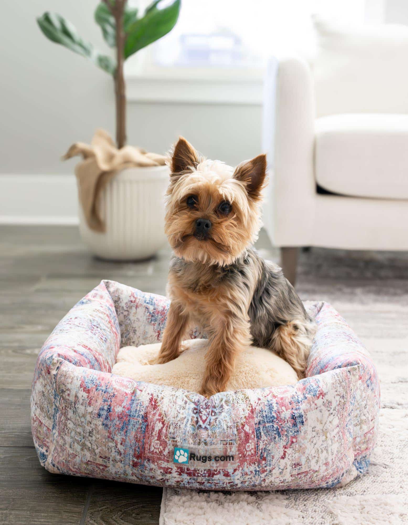 A small Yorkie dog sits in a multi-colored rectangular pet bed with a plush cream cushion, placed on a light rug in a bright living room.