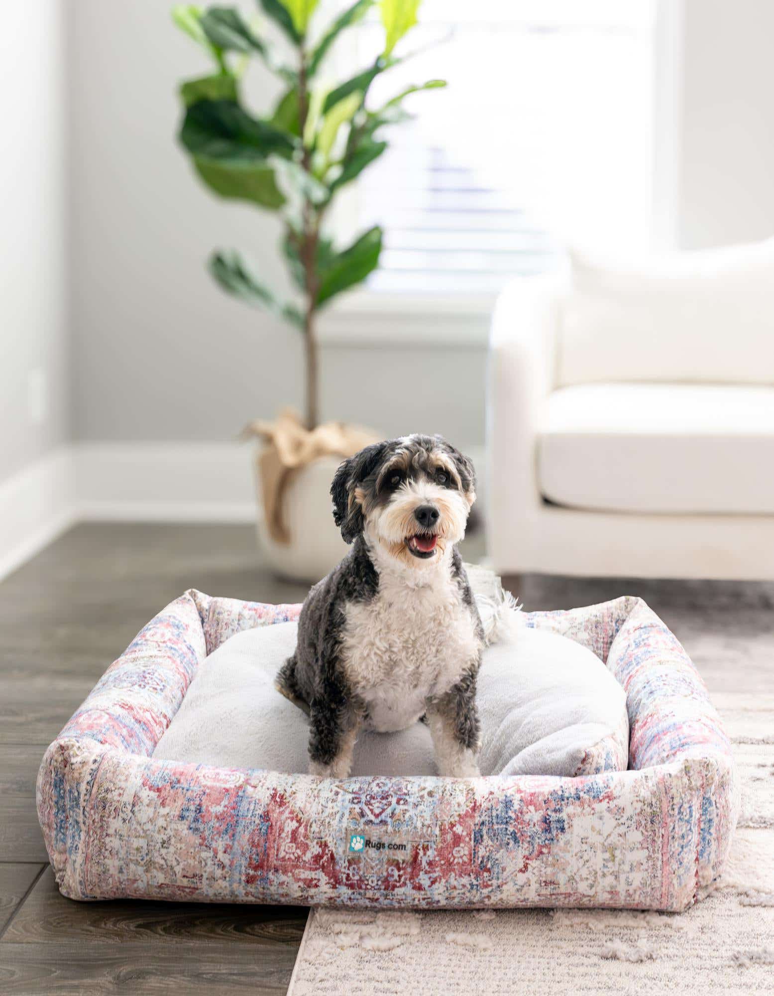 A small, fluffy black and white dog sits happily in a large rectangular pet bed with a multi-colored, distressed pattern, placed on a light-colored rug in a bright living room.