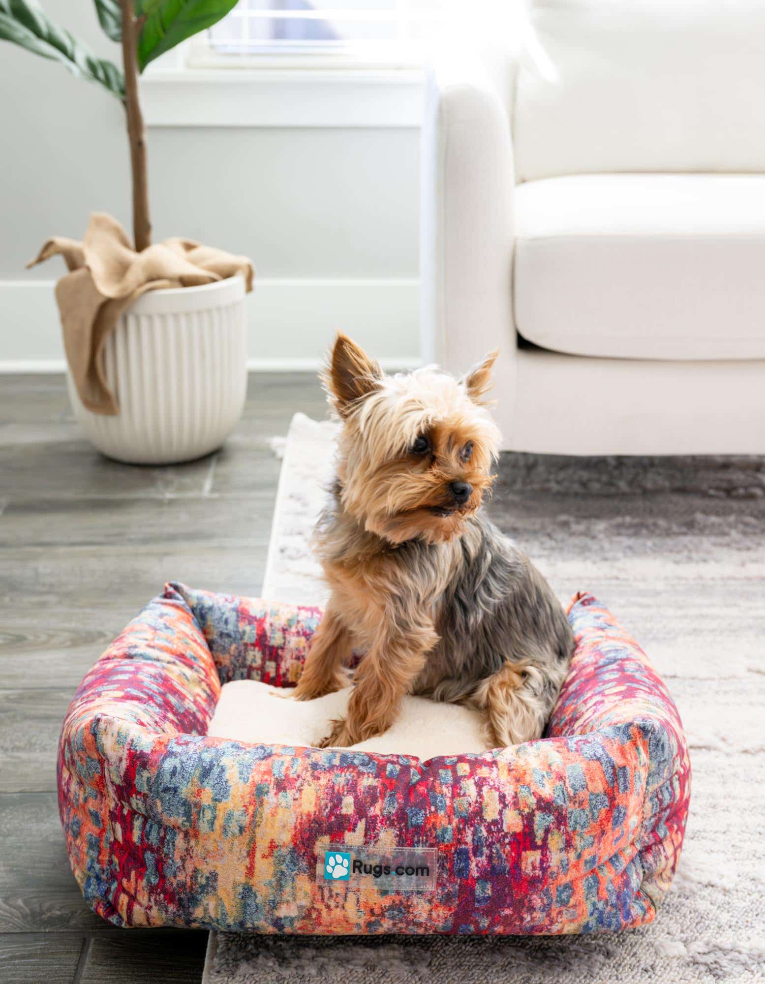 A small Yorkshire Terrier dog sits comfortably in a multi-colored rectangular pet bed on a light gray rug in a living room.