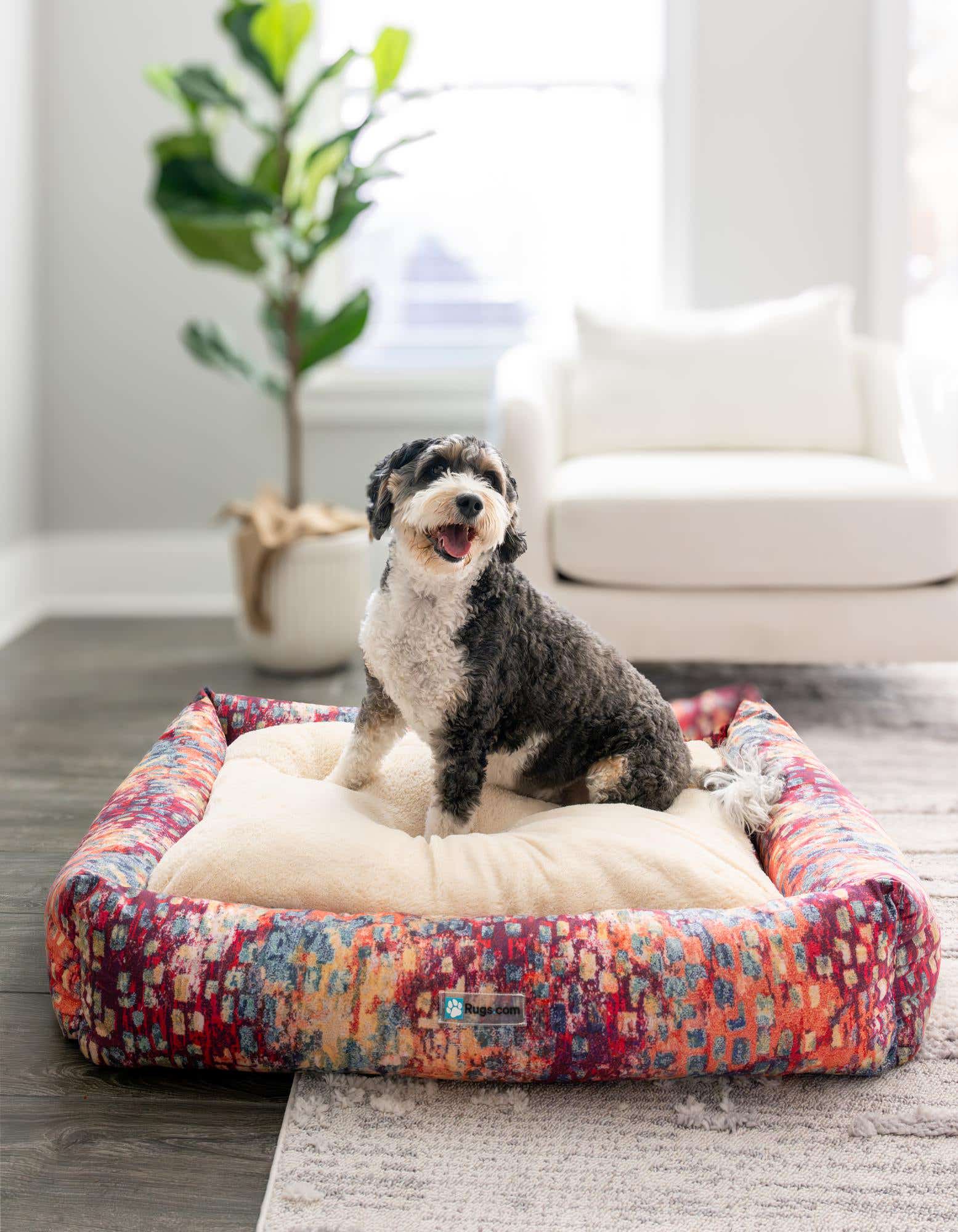 A fluffy black and white dog sits happily in a large, rectangular pet bed with a vibrant multi-colored abstract pattern, placed on a gray rug in a bright living room.