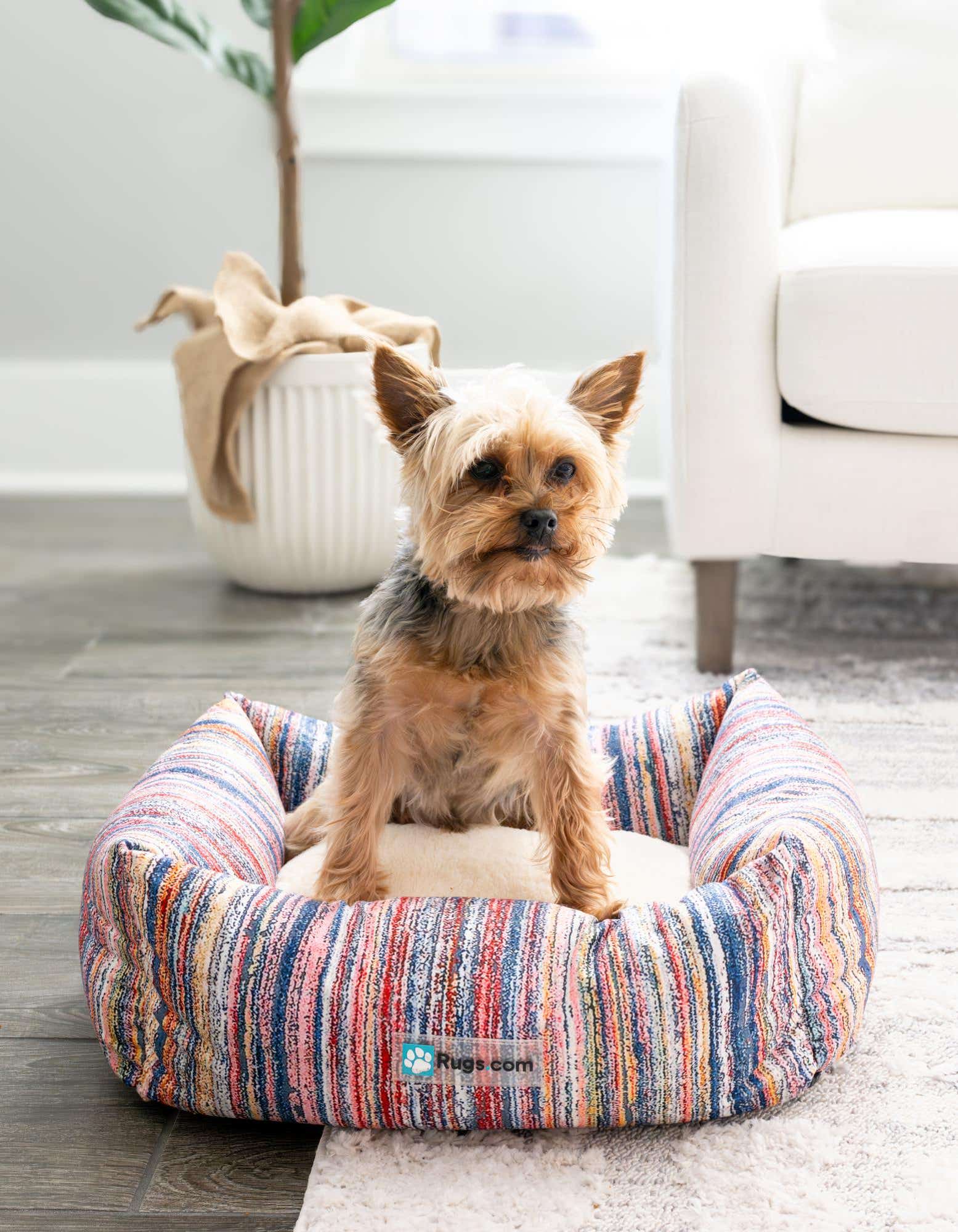 A small Yorkshire Terrier dog sits comfortably in a multi-colored rectangular pet bed on a light rug.