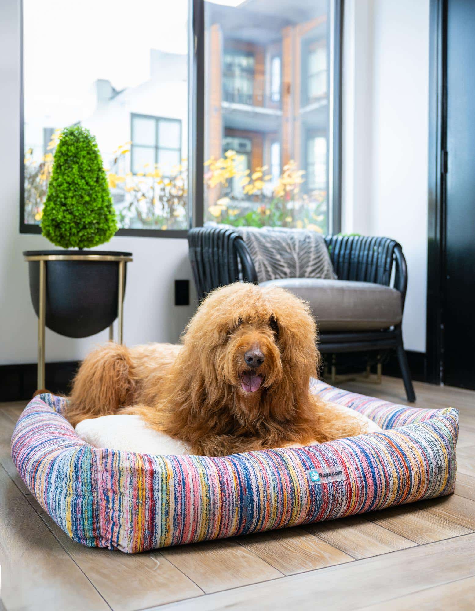 A fluffy golden doodle dog rests comfortably on a large, rectangular multi-colored striped pet bed with a white cushion, situated on a light wood floor near a window.