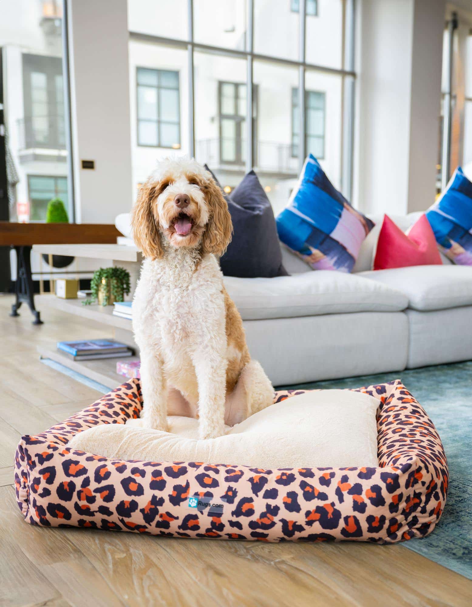 A happy golden doodle sits in a large rectangular pet bed with a leopard print pattern, on a light wood floor in a modern living room.