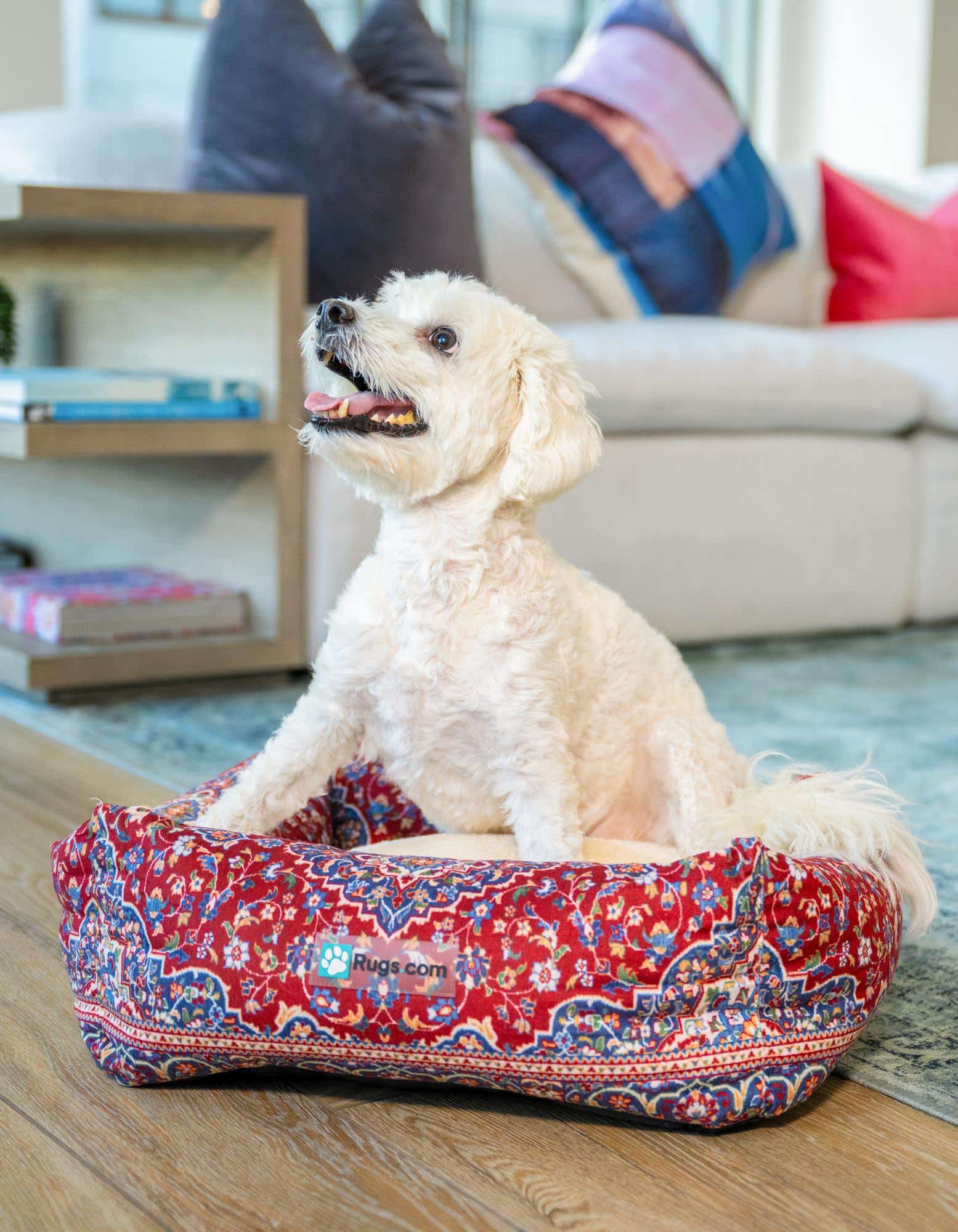 A small white dog sits in a rectangular pet bed featuring a red, blue, and gold Persian-style pattern, on a wooden floor.