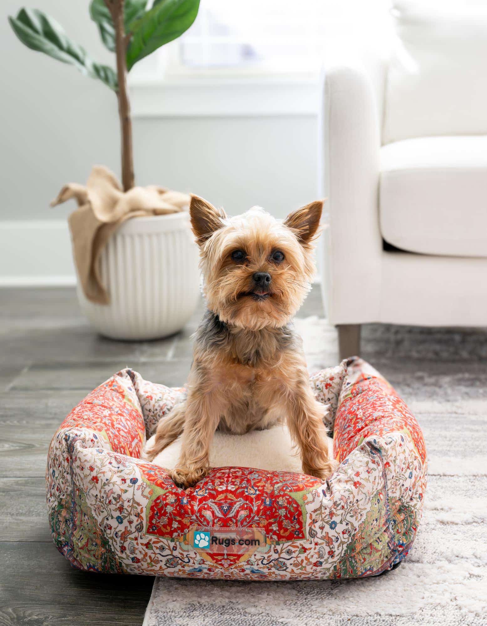 A small Yorkshire Terrier dog sits in a multi-colored rectangular pet bed with a vibrant floral and medallion pattern, placed on a light grey rug in a living room.