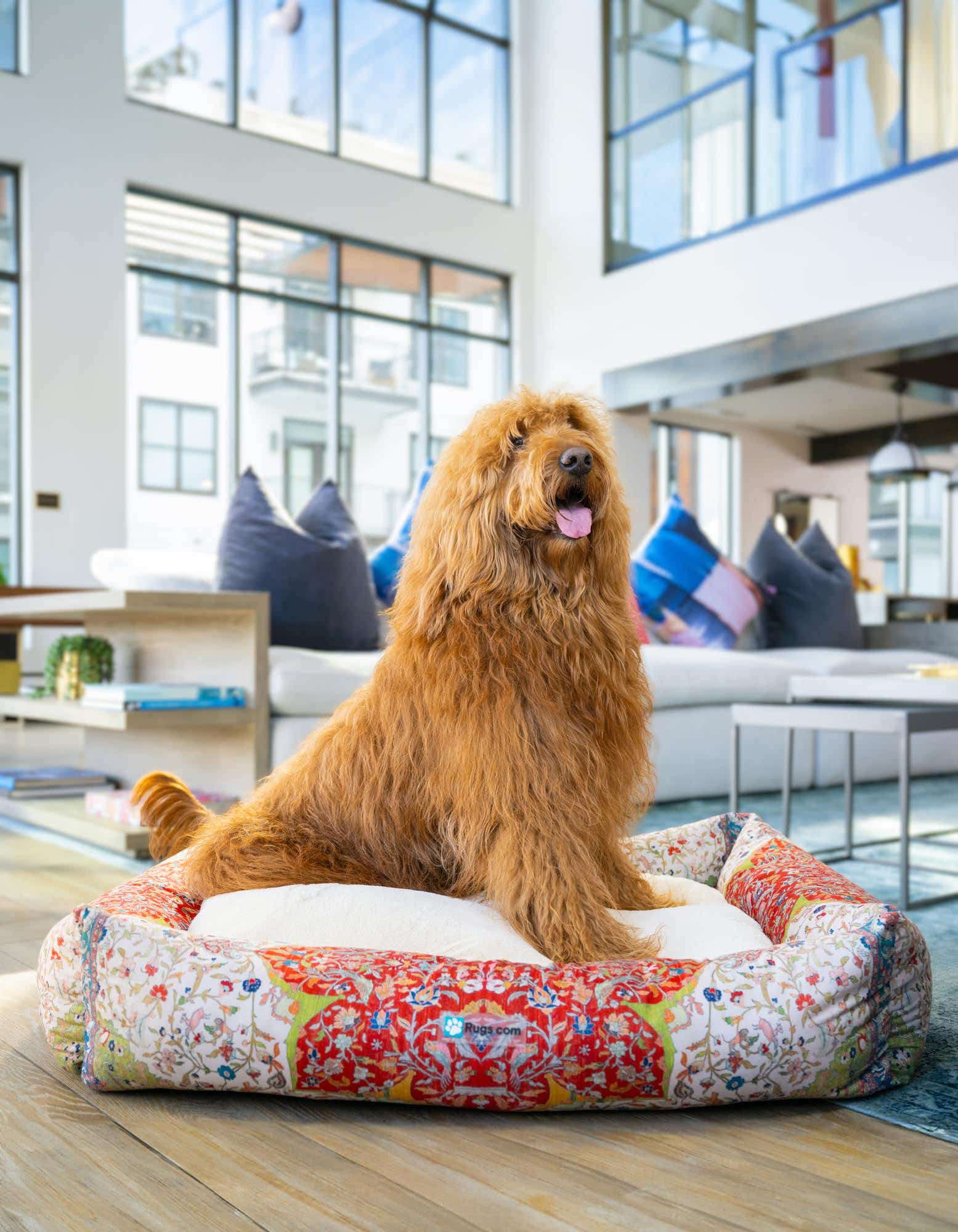 A fluffy golden doodle dog sits comfortably on a multi-colored rectangular pet bed with an intricate floral pattern, in a modern living room.