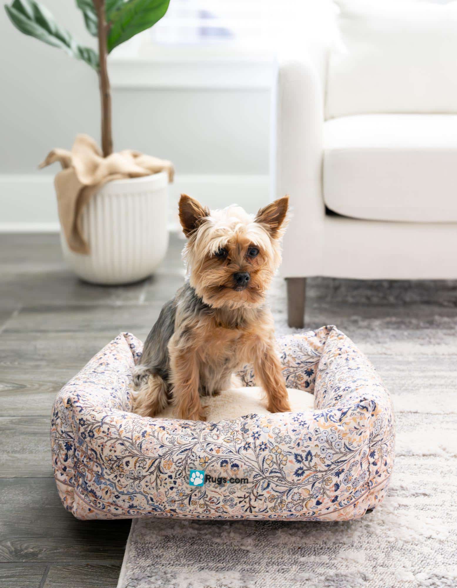 A small Yorkshire Terrier dog sits in a multi-colored floral pet bed on a light gray area rug in a modern living room.