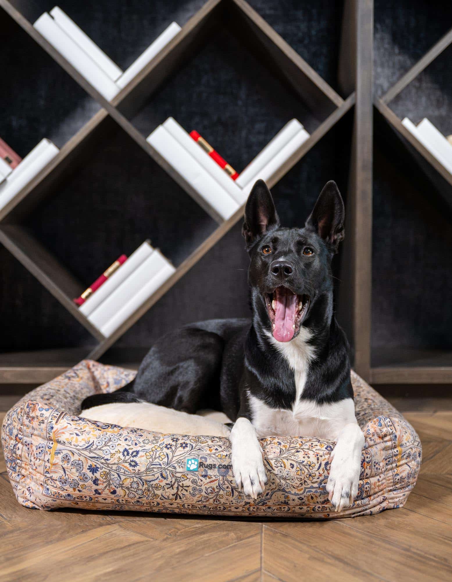 A black and white dog yawns while relaxing on a multi-colored rectangular pet bed with a floral pattern, set on a wooden floor in front of a dark bookshelf.