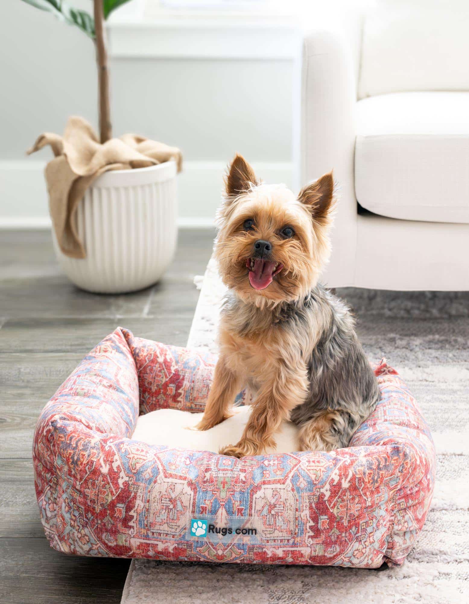A happy Yorkshire Terrier dog sits in a multi-colored rectangular pet bed with a traditional pattern, placed on a light rug in a living room.