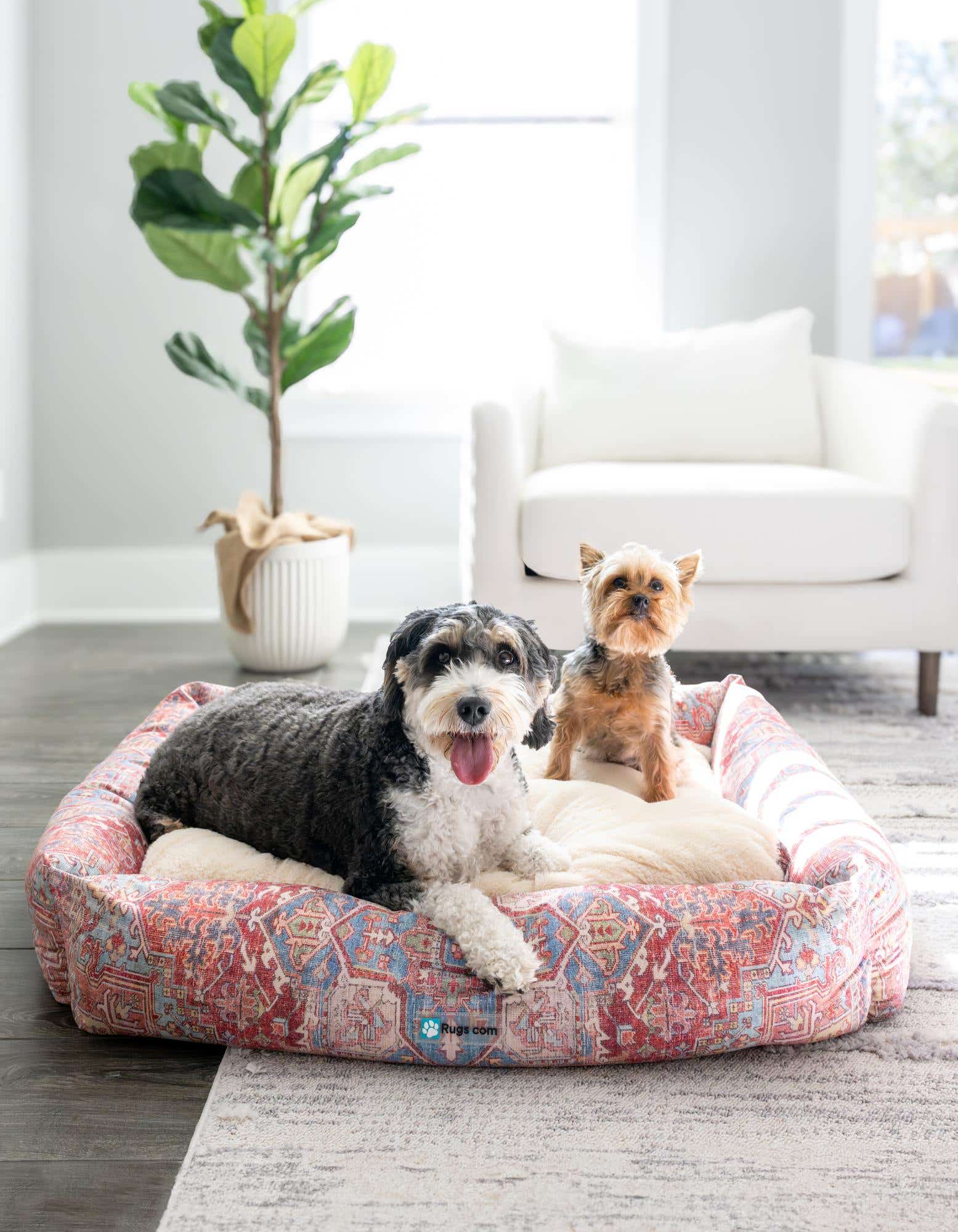 A large multi-colored rectangular pet bed with two dogs, a black and white fluffy dog and a small brown terrier, in a bright living room.