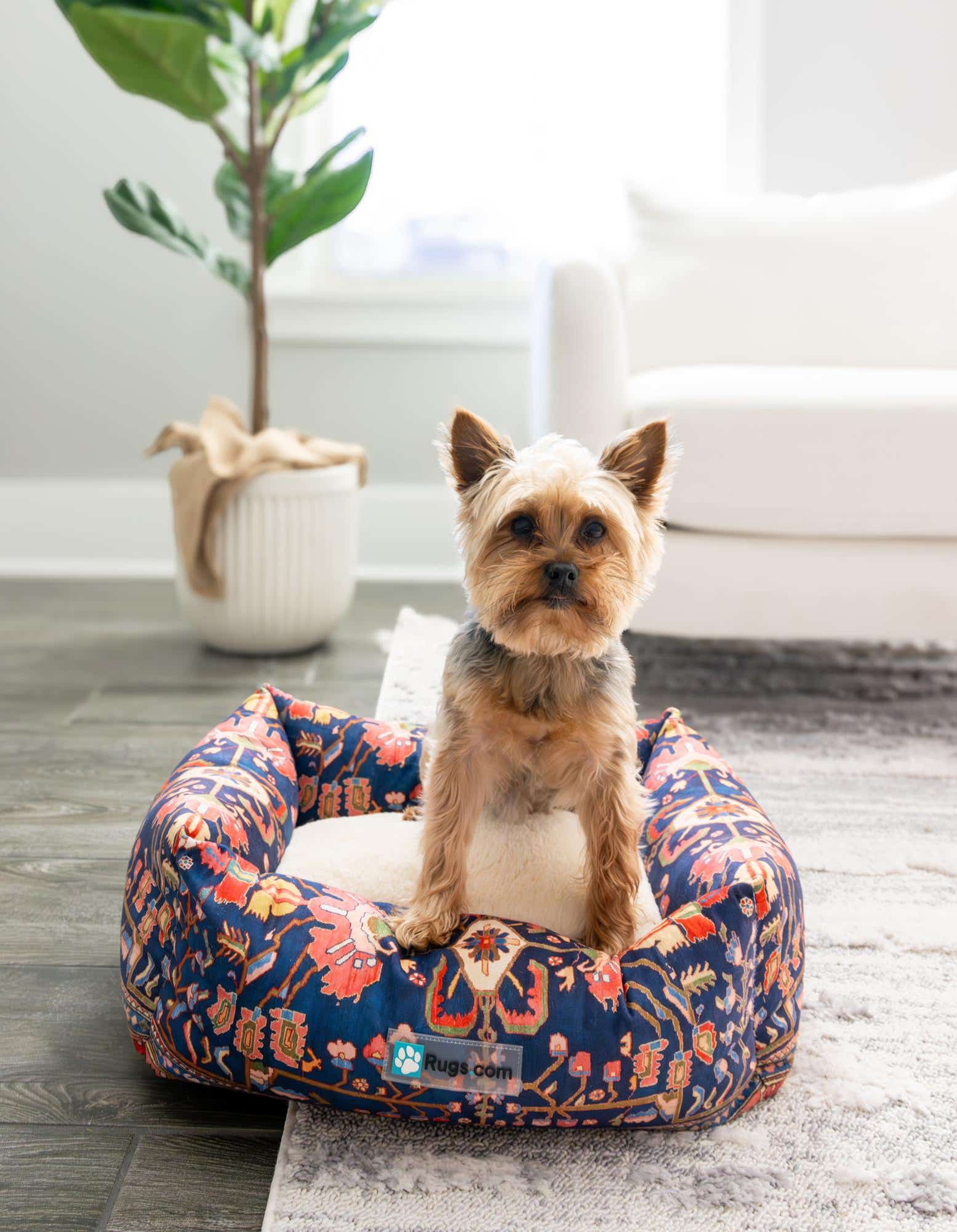 A small Yorkshire Terrier dog sits in a plush, rectangular pet bed with a multi-colored Persian-style pattern, on a light grey area rug.