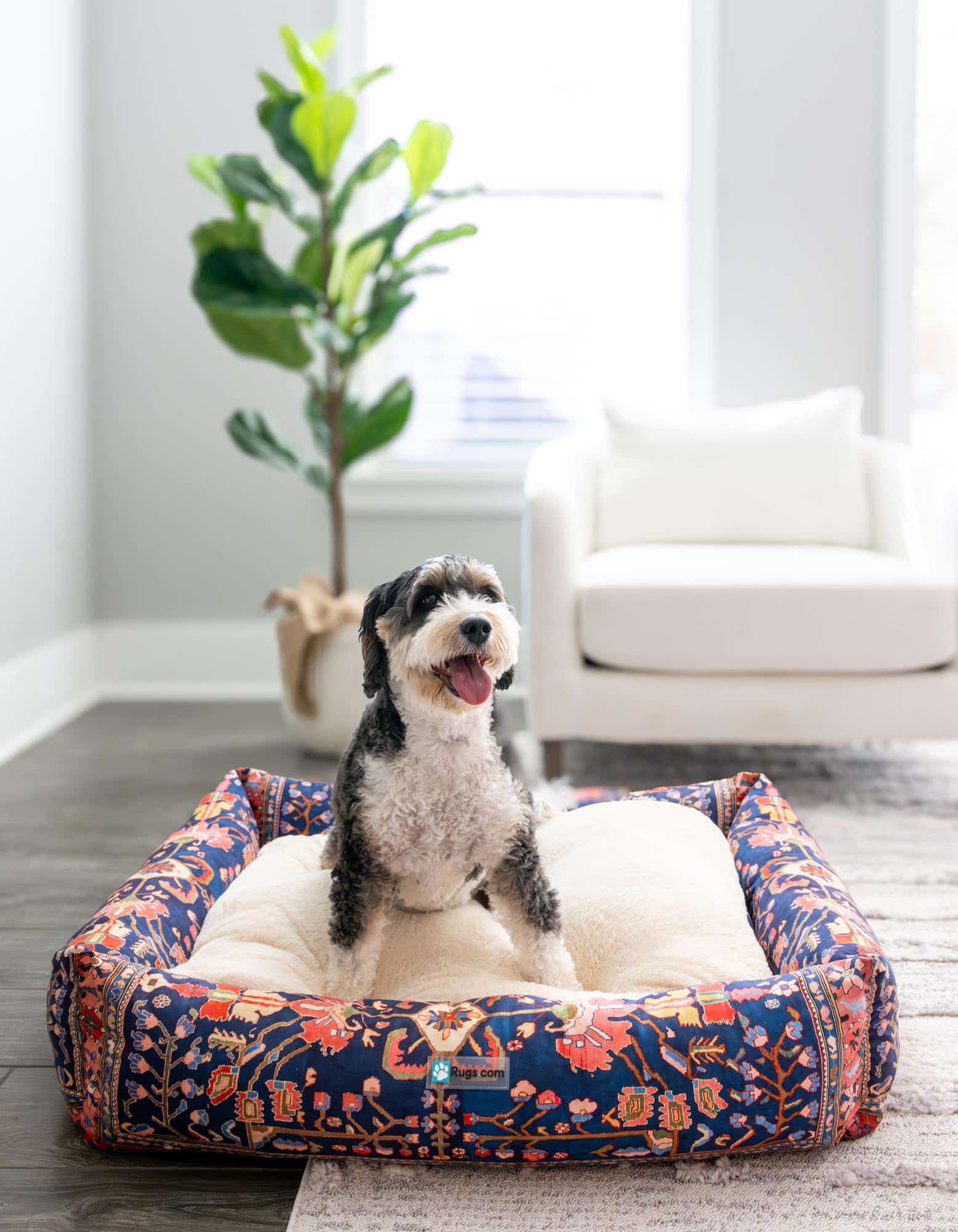 A fluffy black and white dog sits happily in a large rectangular pet bed with a multi-colored traditional pattern, placed on a light rug in a bright living room.