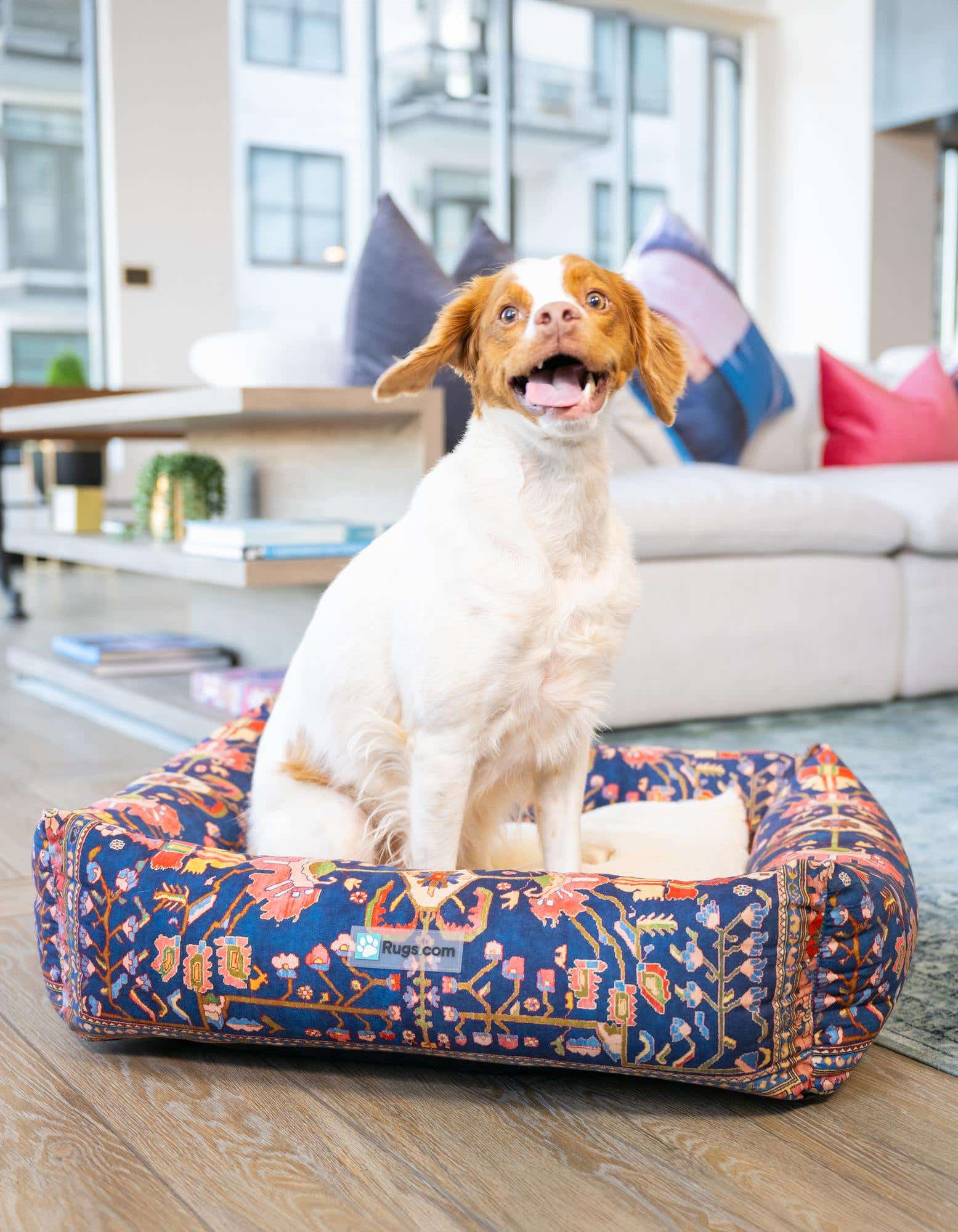 A happy white and brown dog sits in a medium, rectangular, multi-colored pet bed with an intricate pattern, on a wooden floor in a modern living room.