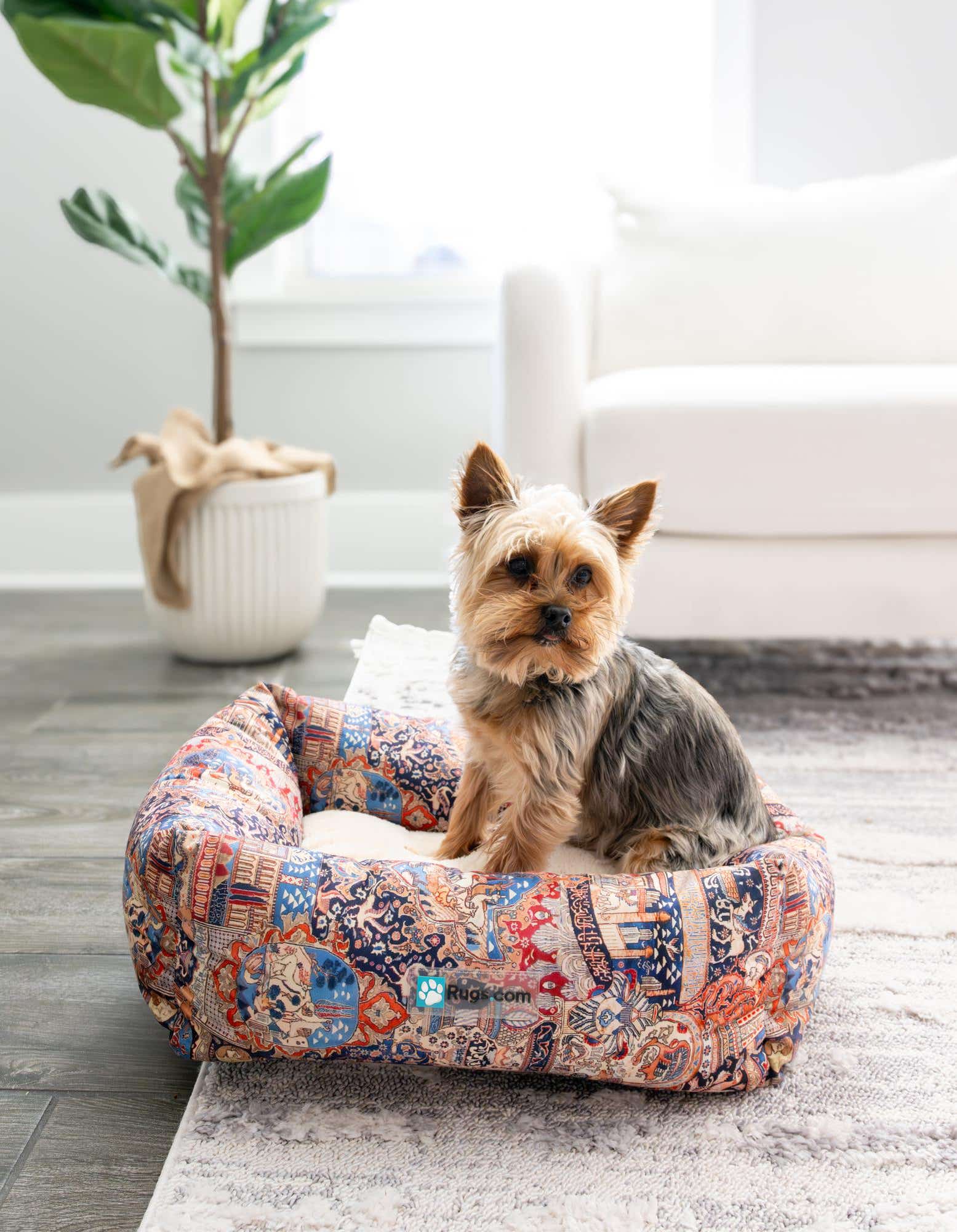 A small Yorkshire Terrier dog sits comfortably in a multi-colored rectangular pet bed with an intricate pattern, placed on a light grey area rug in a bright living room.