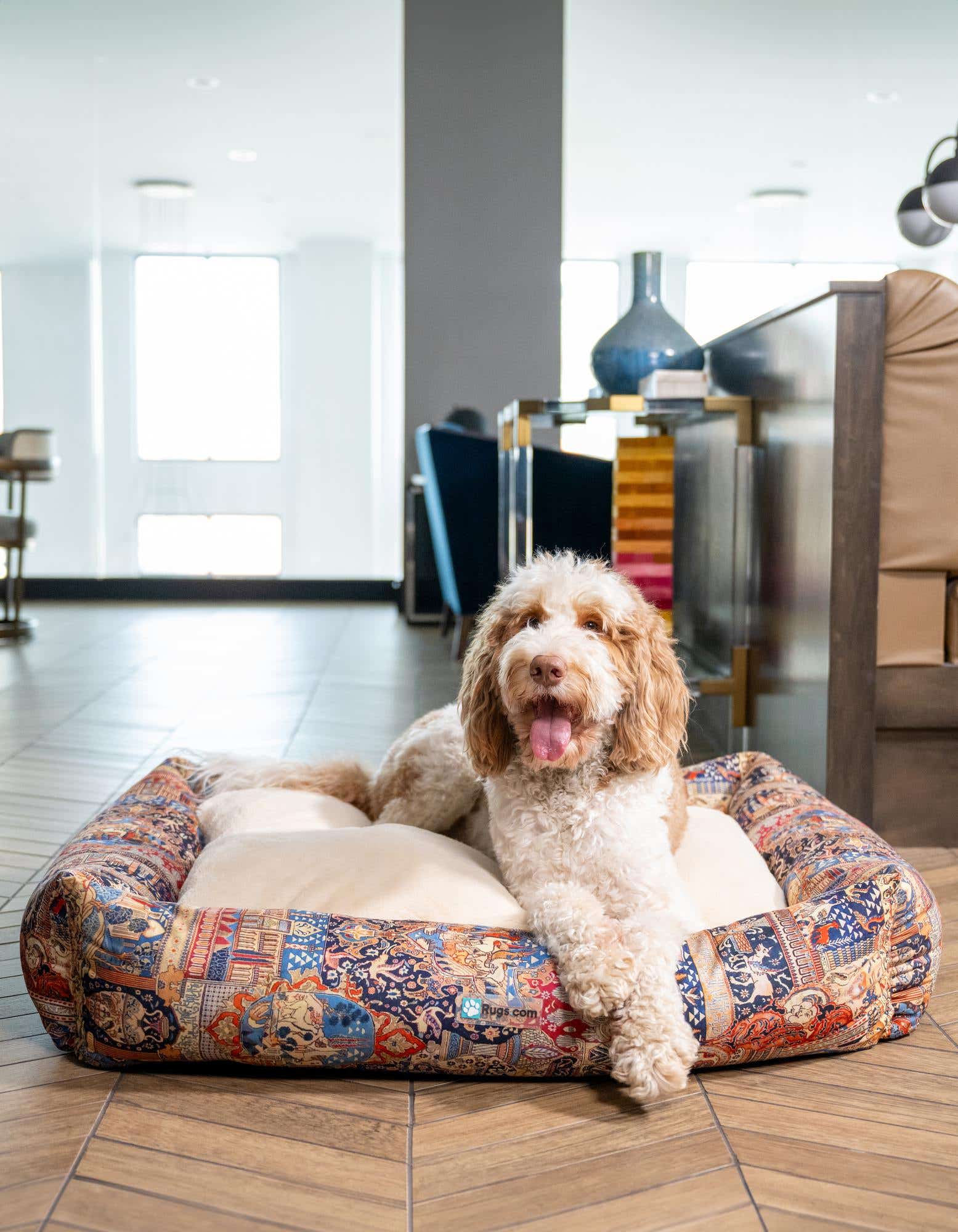 A fluffy brown and white dog rests comfortably on a multi-colored rectangular pet bed with a cream cushion, set on a wooden floor.