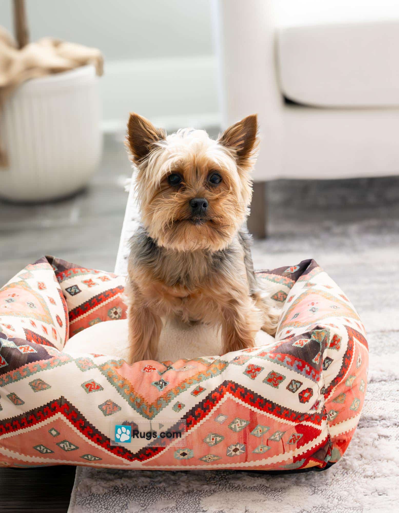 A small dog sits in a multi-colored rectangular pet bed with a geometric pattern, placed on a light-colored rug.