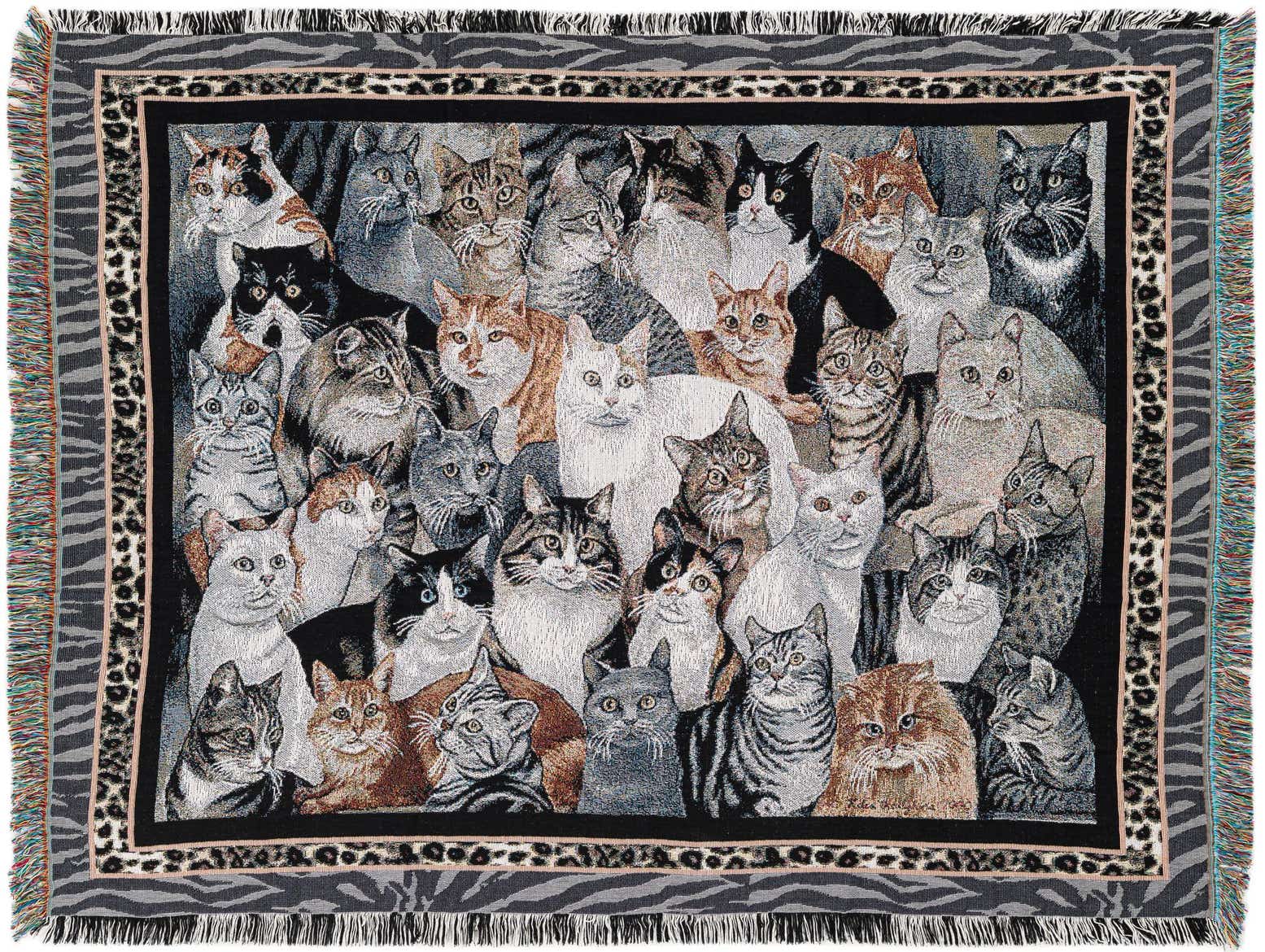 Primary image 4' 6 x 6' Purrfect Cats Throw Blanket
