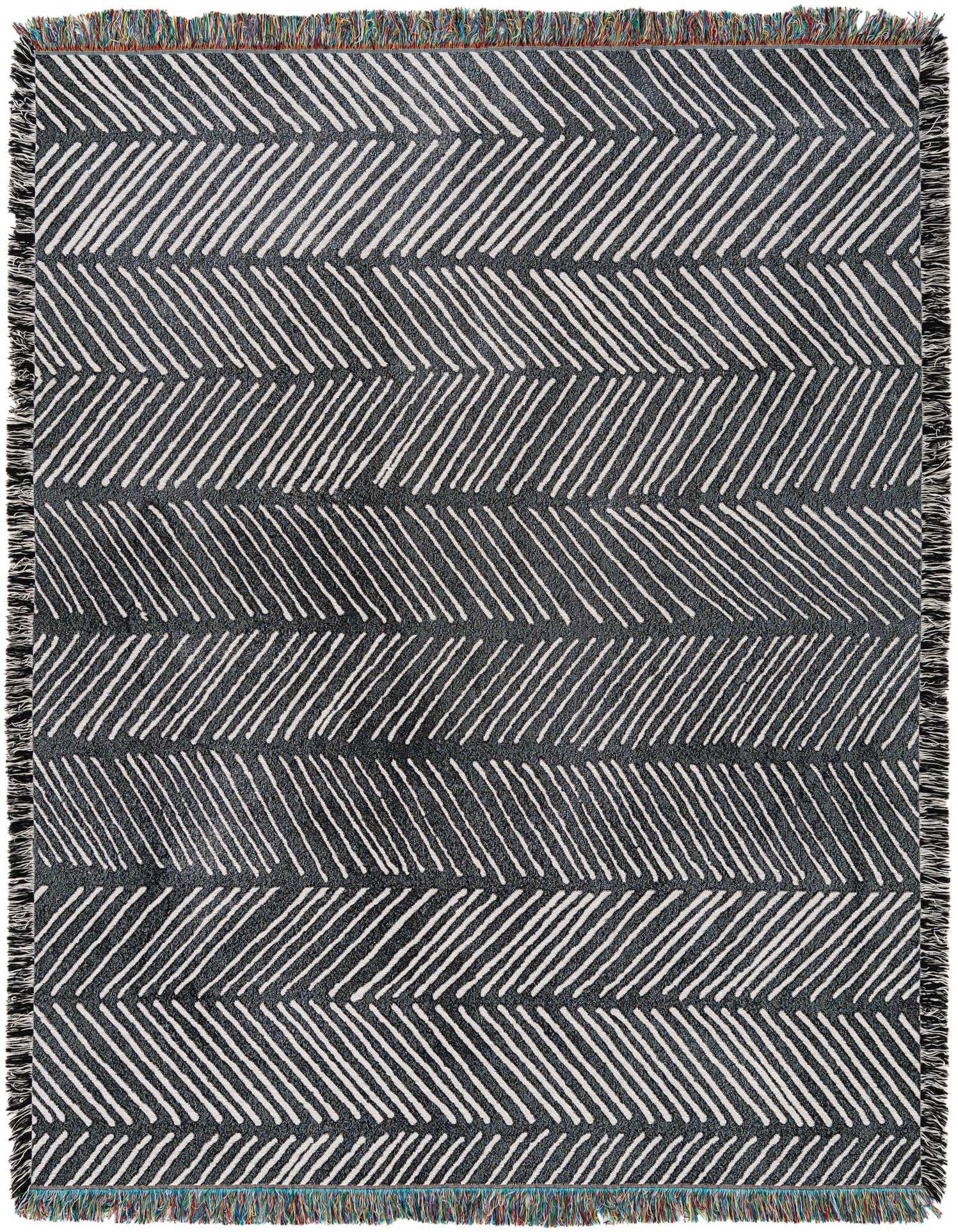 A 4x6 rectangular black and white modern rug with a striped pattern and fringed edges, suitable for various indoor rooms.