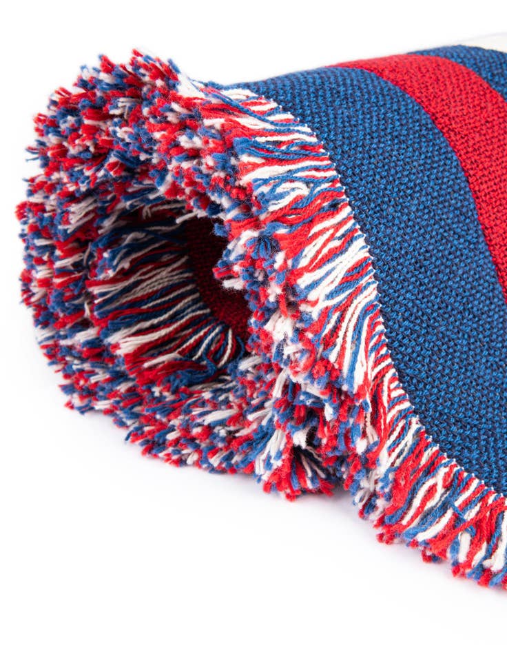 Detail image of 4' x 5' 9 Nautical Fish Throw Blanket