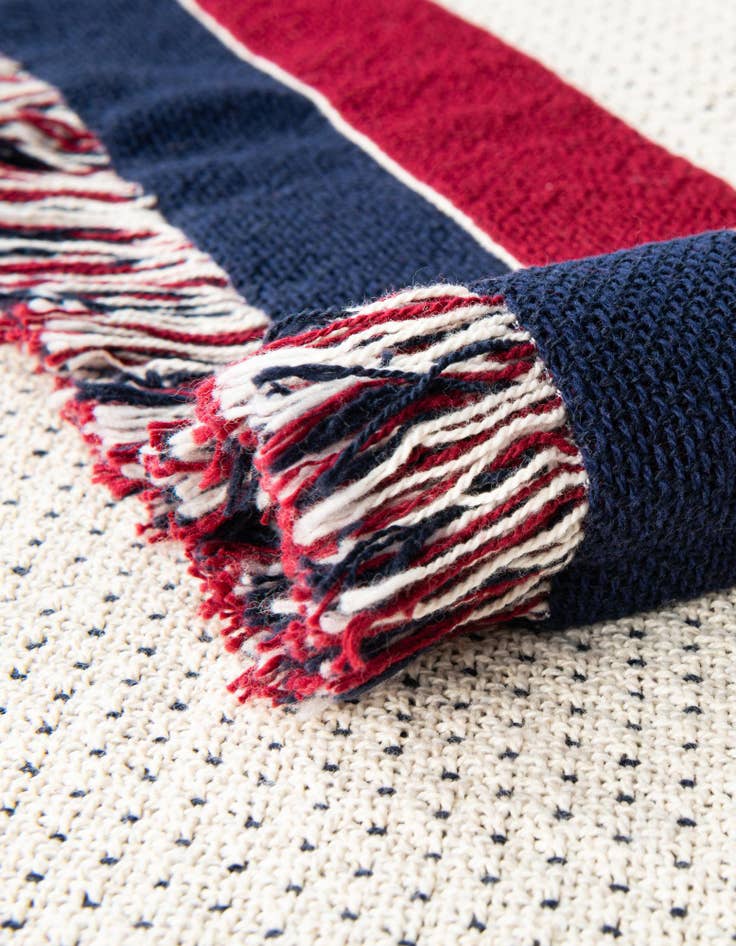 Detail image of 4' 6 x 6' Democratic Logo Throw Blanket