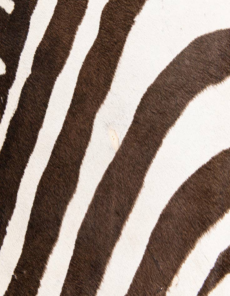 Detail image of  6' 5 x 7' 1 Cowhide Leather Freeform Rug