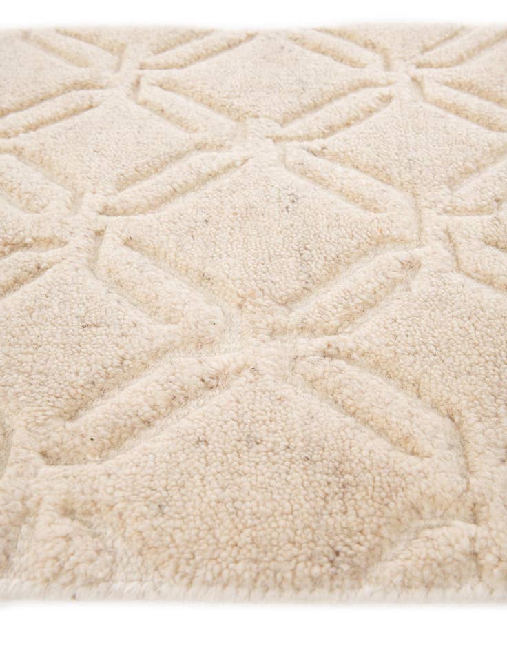 Detail image of  2' x 3'  Hand Knotted Lana New Zealand Wool Rug