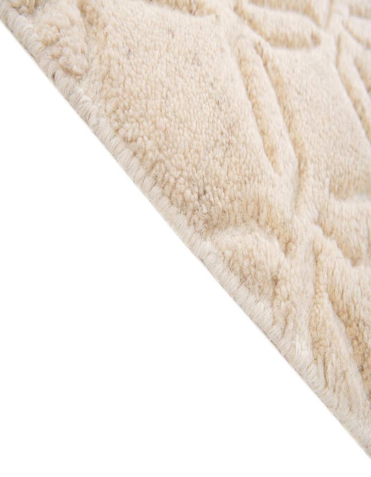 Detail image of  2' x 3'  Hand Knotted Lana New Zealand Wool Rug