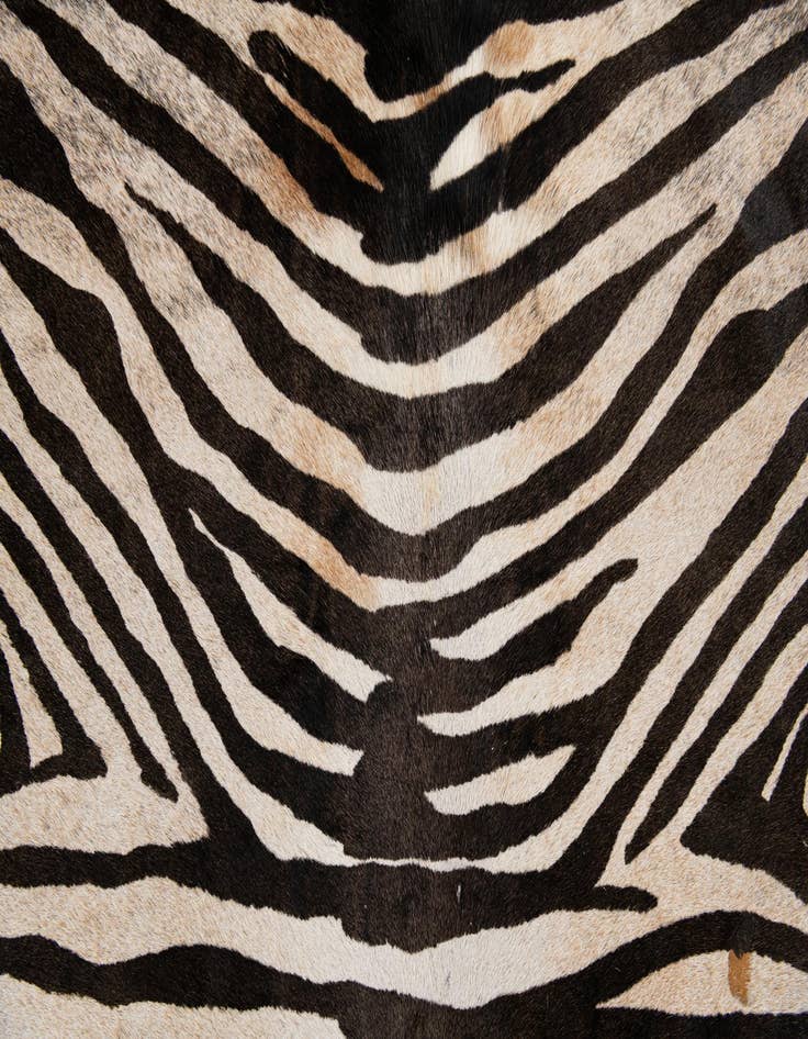 Detail image of  6' 5 x 6' 7 Cowhide Leather Freeform Rug