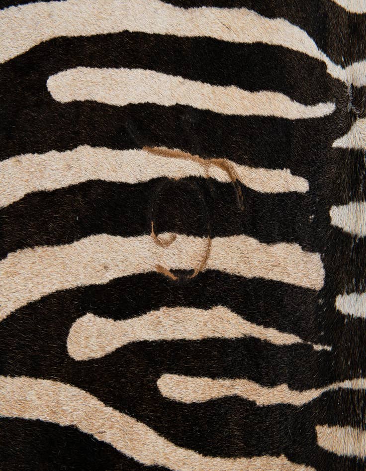 Detail image of  6' 5 x 6' 7 Cowhide Leather Freeform Rug
