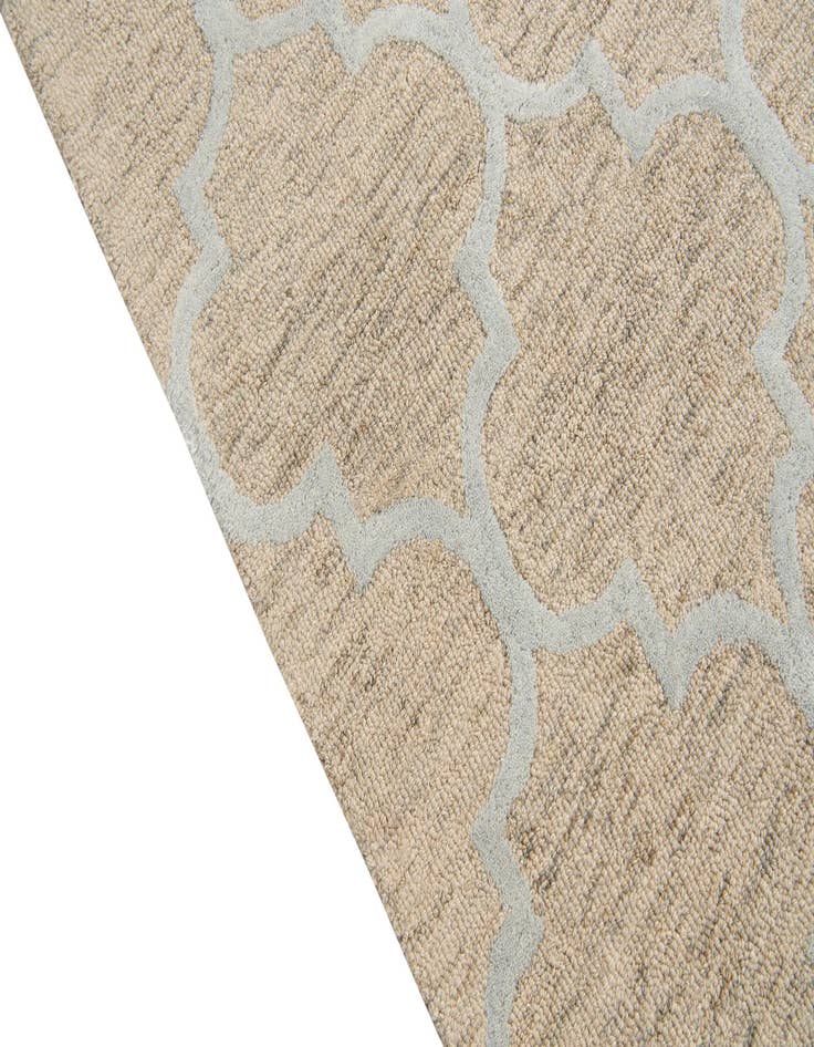 Detail image of  5' 1 x 8' 1 Agra Rug
