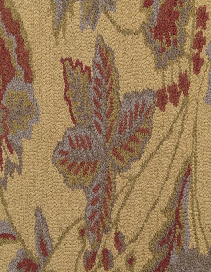 Detail image of  5' x 7' Agra Rug