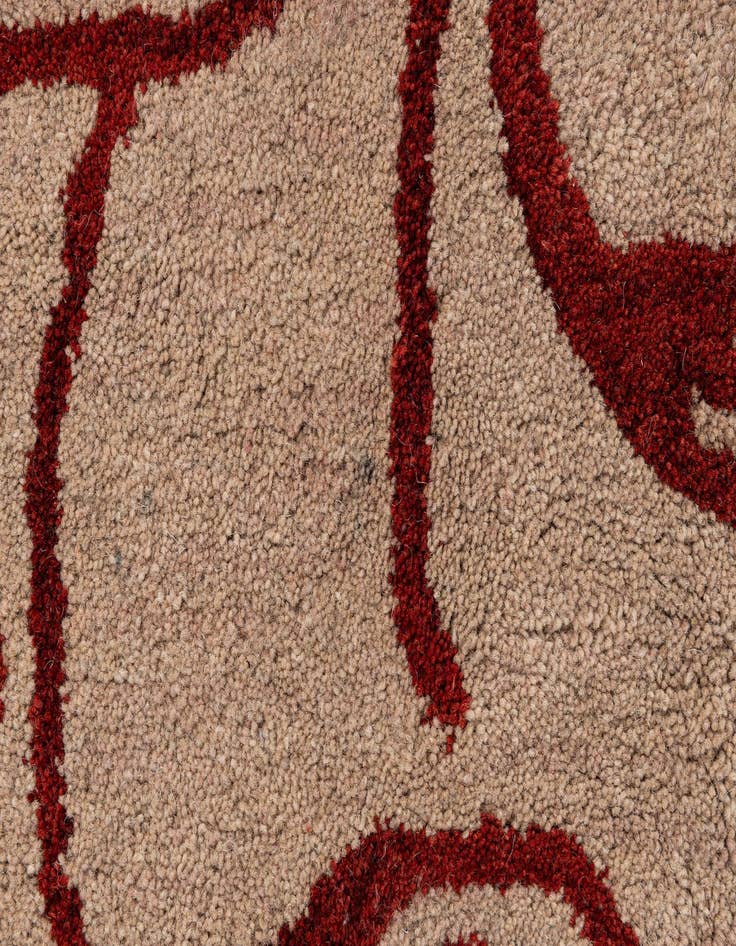 Detail image of  7' 11 x 10' 11 Agra Wool Rug