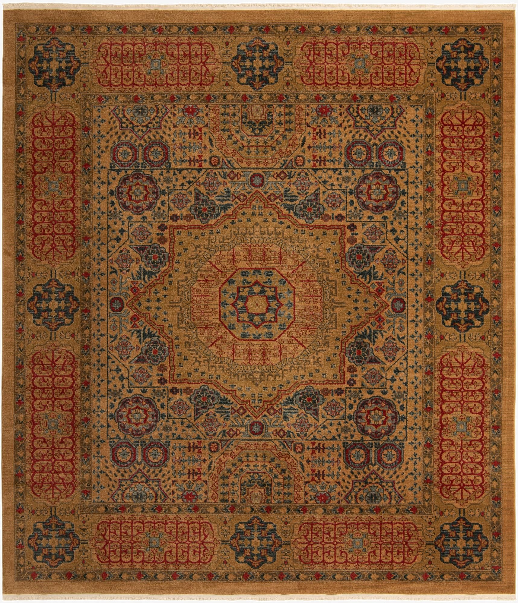 Primary image  10' x 11' 4 Amina Rug