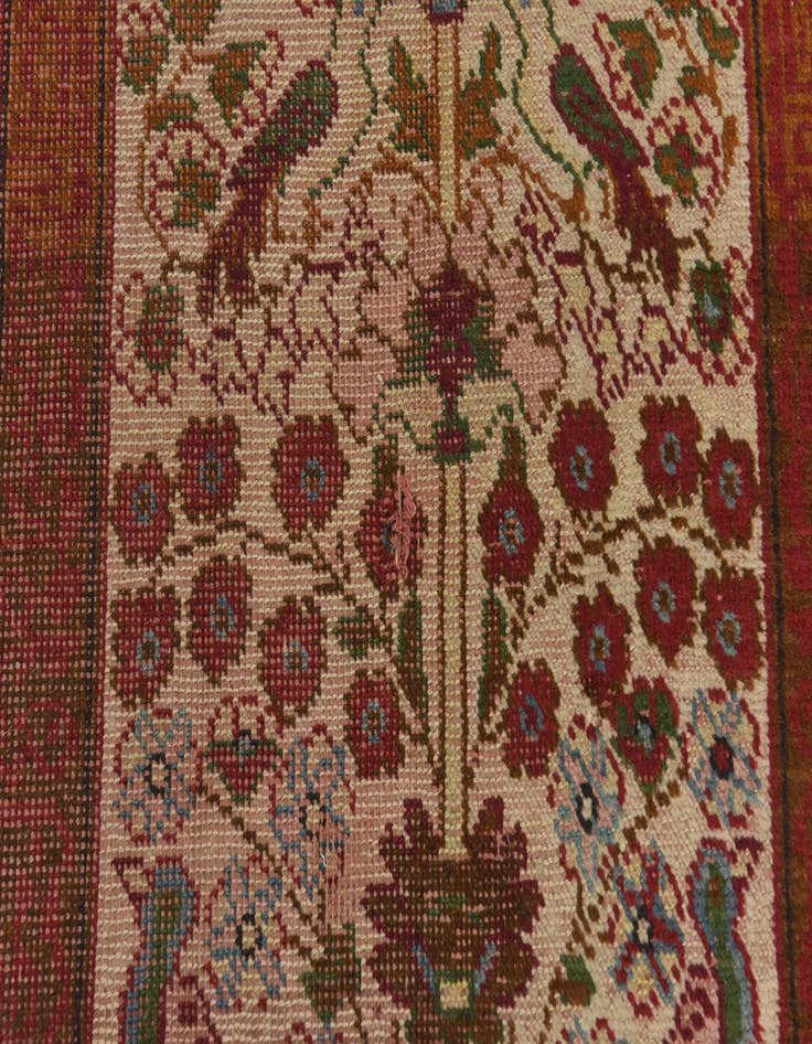 Detail image of  5' x 7' 10  Hand Knotted Anatolian Wool Rug