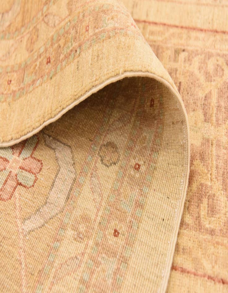 Detail image of  9' 8 x 12' 10  Hand Knotted Ariana Ziegler Rug