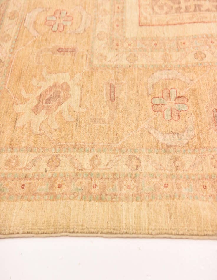 Detail image of  9' 8 x 12' 10  Hand Knotted Ariana Ziegler Rug