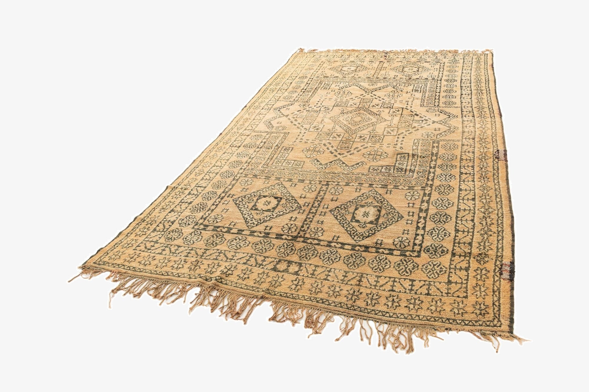  6' 11 x 12' 2 Berber Rug
