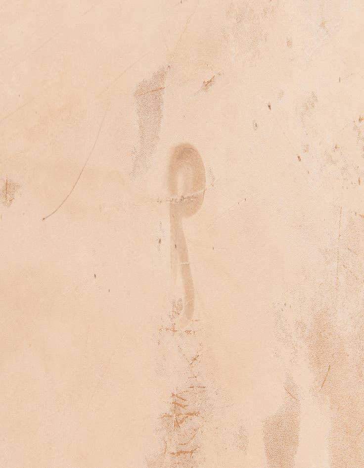 Detail image of  6' 6 x 7' 3 Cowhide Leather Rug