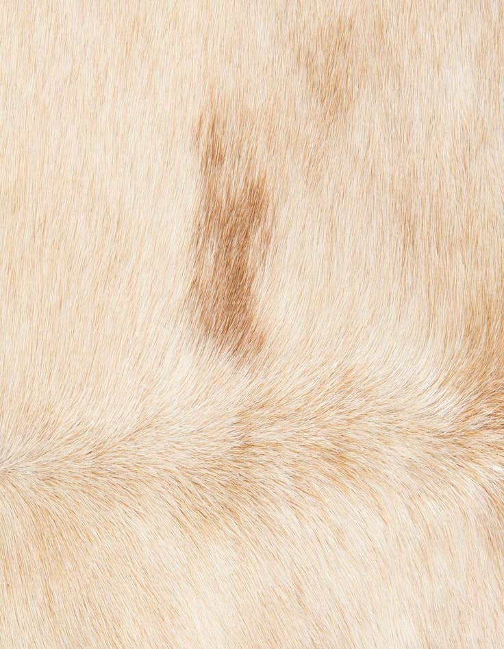 Detail image of  6' 9 x 7' 6 Cowhide Leather Rug