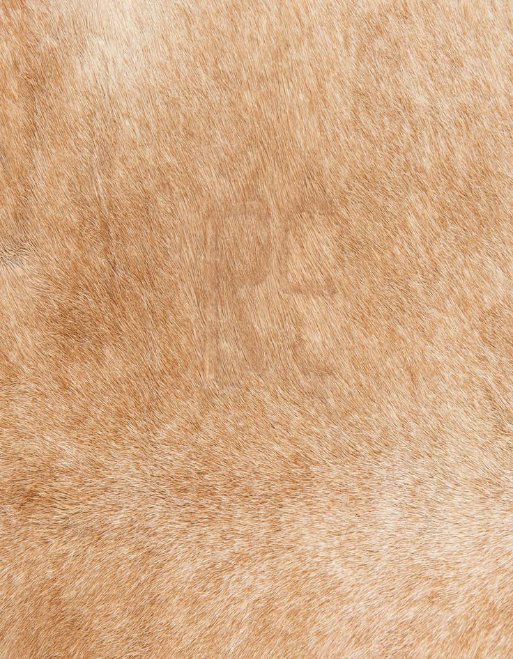 Detail image of  6' 7 x 7' 7 Cowhide Leather Rug