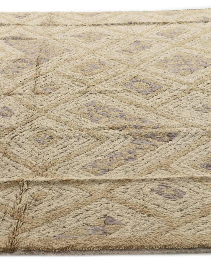 Detail image of  8' 2 x 10' 3  Hand Knotted Darya Wool Rug