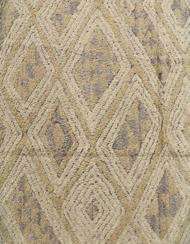 Detail image of  8' 2 x 10' 3  Hand Knotted Darya Wool Rug