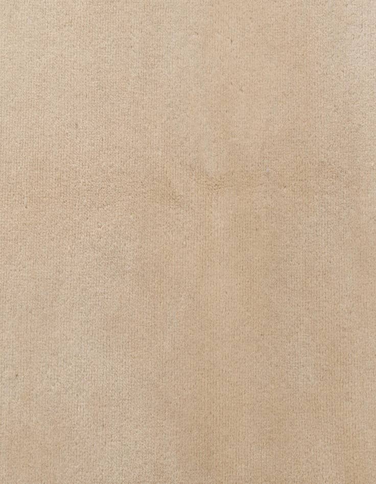 Detail image of  6' 6 x 9' 9  Hand Knotted Darya Wool Rug