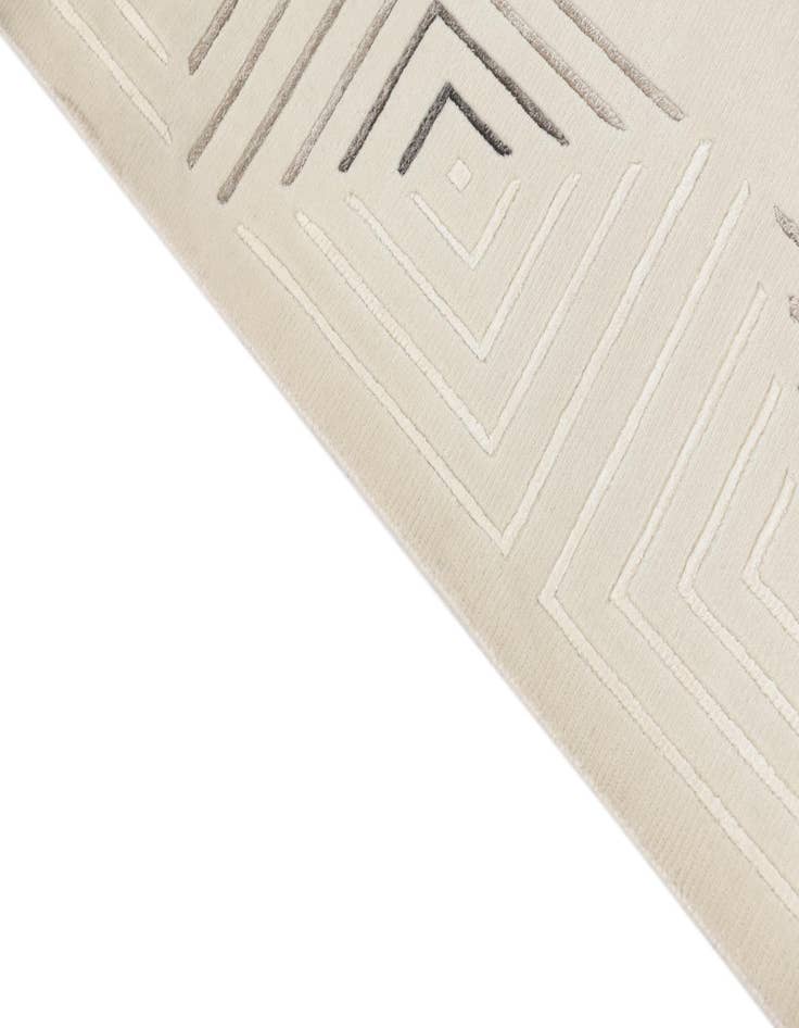 Detail image of  6' 7 x 9' 7  Hand Knotted Darya Wool Rug